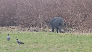 Locha z młodymi park Ronalda Reagana Gdańsk 2024