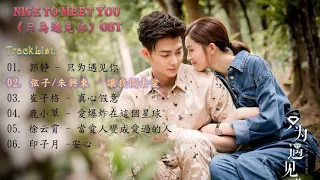 Nice To Meet You 《只為遇見你》OST Full Song