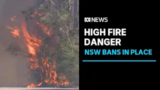 Multiple fires still uncontained in NSW, reports of property losses | ABC News
