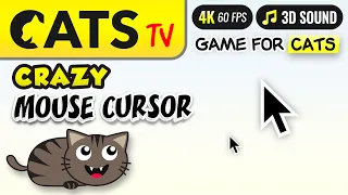 CAT TV - crazy Mouse cursor for cats to watch 🙀🖱️🎶 4K 🔴 60FPS  (3 HOURS)
