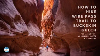 How to Hike Wire Pass Trail to Buckskin Gulch in Utah