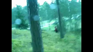 Bigfoot in Latvian video BIGFOOT CAUGHT ON CAMERA