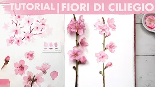 Tutorial ACQUERELLO per principianti | Come dipingere dei fiori di ciliegio 💮💮