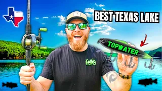 Texas TOPWATER Fishing for BIG BASS (INSANE Blowups!!)