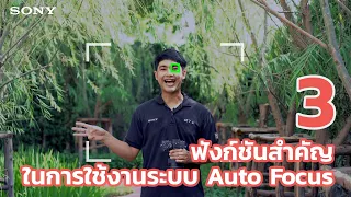 3 ฟังก์ชั่นที่ควรรู้สำหรับใช้งาน Auto-Focus ในกล้องโซนี่