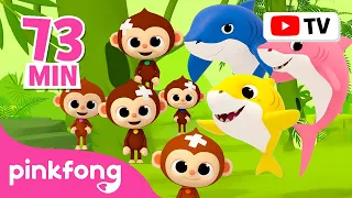 [TV for Kids] 🐒 BEST Monkey Banana Dance X Baby Shark! | Summer Outdoor Playlist | Pinkfong for Kids