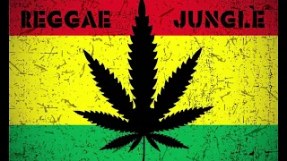 Dark Reggae Vocal Jungle Drum and Bass Mix #2 2021 New Vocal DnB