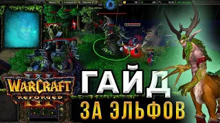 Гайд За ЭЛЬФОВ для НОВИЧКОВ - WarCraft 3:Reforged - Как играть за НОЧНЫХ ЭЛЬФОВ в ВАРКРАФТ 3