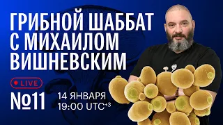 Грибной шаббат с Михаилом Вишневским №11. Термофильные дрожжи