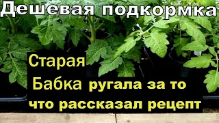 Я Обалдел! Странная бабка дала рецепт за 2 дня Стебель у Рассады Жирный и Крепкий! Рассада