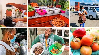 GROCERY HAUL/SHOP WITH ME! Also, It's HARVEST TIME! How Did My Garden Do? 🍅🥬🥒🍊