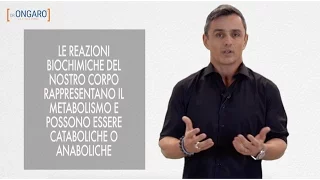 Come riattivare il metabolismo | Filippo Ongaro