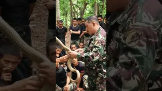 How to butcher a cobra at Scout Ranger Training