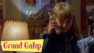 Grand Galop - Épisodes 10 à 11 | Compilation | Grand Galop Saison 1