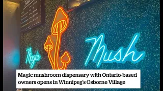 Magic mushroom dispensary with Ontario-based owners opens in Winnipeg's Osborne Village