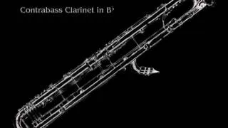 23 Clarinets - Clarinet Choir - Beelzebub - Solo for Contrabass Clarinet