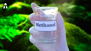 Grünes Methanol, der Biokraftstoff, der Deutschland retten kann