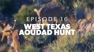 We're not in Mississippi anymore - Ep.16 - West Texas Aoudad Hunt