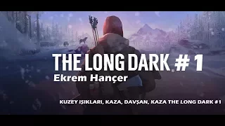 KUZEY IŞIKLARI, KAZA, DAVŞAN, KAZA THE LONG DARK #1