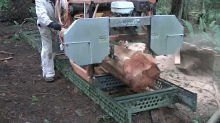 Milling a Cedar Log #1