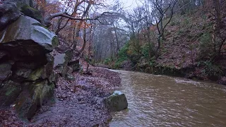 Rain Walk, Knypersley Reservoir and the Warder's Tower, English Countryside 4K