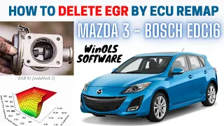 What is EGR and Pros And Cons of EGR Delete