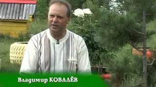 Родовое поместье Владимира Ковалева, часть 1.