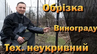 Обрізка, як "звичайного" винограду. Зменшення щільності грона за рахунок довгої обрізки