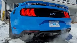 Cold start February 24th, 2023 -16° Mustang gt performance package