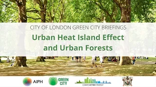 Urban Heat Island Effect and Urban Forests | Green City Briefing