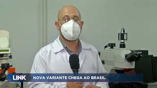 Nova variante chega no Brasil