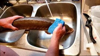 Очистка и разделка осетра / Sturgeon cleaning - Master class by Vadim Markov