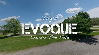 Cruisin the Field - FPV Cinematic