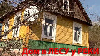 Купил дом мечту в волшебном месте за копейки! Вокруг лес и река. Обзор дома с прекрасным видом.