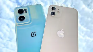 OnePlus Nord CE 2 vs iPhone 12 Camera Comparison | OnePlus Nord Ce 2 Camera Test | iPhone 12 Camera