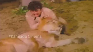 Ambarish Fight with Lion || Best Scenes In Kannada Movie || Kannadiga Gold Films || Full HD