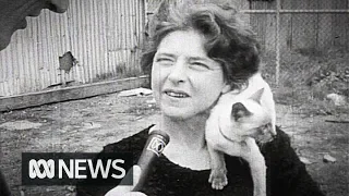 One woman's road trip with 55 cats (1969) | RetroFocus