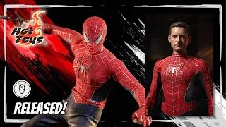 Hot Toys Friendly Neighborhood Spider-Man | Release Review