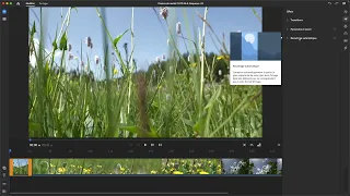 Tuto Monter vos vidéos avec Adobe Premiere Rush, les fondamentaux