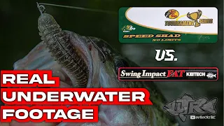 UNDER WATER VIDEO: BPS Speed Shad 3.8 vs. Kietech Swing Impact Fat 3.8