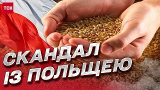 ❗️ Складні перемовини з Польщею! Українське зерно опинилося в блокаді!