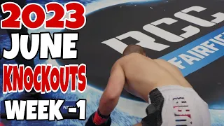 MMA & Boxing Knockouts I June 2023 Week 1