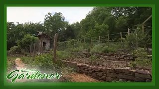 Terraced Vegetable Garden | Volunteer Gardener