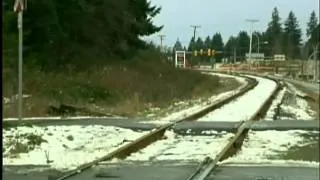 Driver survives hit by train