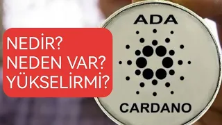 Cardano ADA coin nedir? yükselirmi?