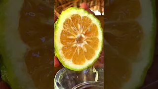 Sweet Orange + Aloe Vera Drink for summer | traditional food home