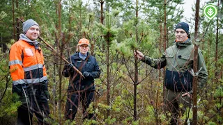 Melkein kymppitonnin hirvituho | Metsälehti