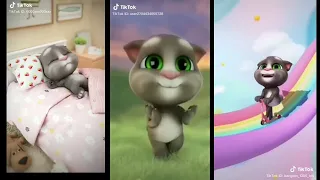 Tổng hợp những tik tok cute nhất của mèo tom | Tổng hợp tik tok cute