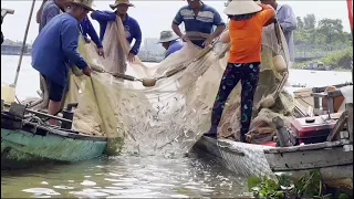 Những mẻ lưới thu hút mọi ánh nhìn của ngư dân Tân Châu - Sông Nước Cửu Long - Nguyễn Hùng