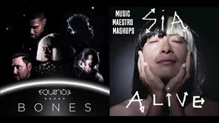 Alive/Bones [Eurovision Mashup] - Sia & Equinox